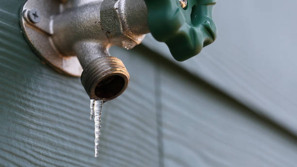Best Emergency Plumber  in Berkley, MI